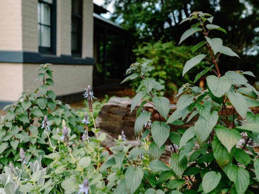 The School House: Family-friendly Retreat Near Berry And Kangaroo Valley Holiday home